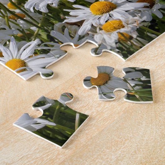 Ein Gebiet der Oxeye Daisies Puzzle (Seite)