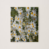 Ein Gebiet der Oxeye Daisies Puzzle (Vertikal)
