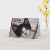 Ein Geburtstag ist wie eine Katze... Karte (Gelbe Blume)