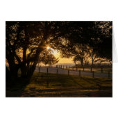 Ein gedankenvoller Abend im Whalehead (Vorderseite (Horizontal))