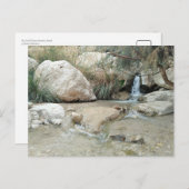 Ein Gedi Nature Reserve, Israel Postkarte (Vorne/Hinten)