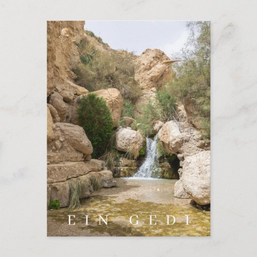 Ein Gedi Naturreservat - Ansichtskarte Postkarte (Vorderseite)