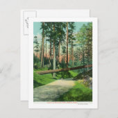 Ein gefallener Baum in der Waldparkszene Postkarte (Vorne/Hinten)