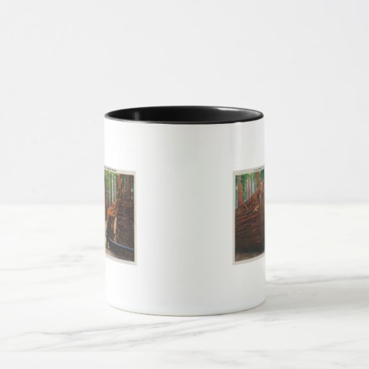 Ein gefallener Gigant, Humboldt-Staat Park Tasse (Zentrum)