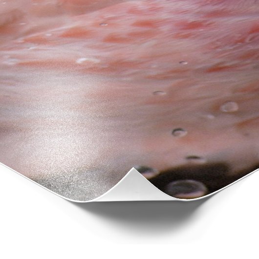 Ein gefangenes Foto eines Anden Flamingo (Ecke)