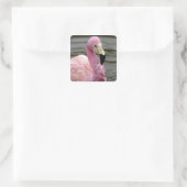 Ein gefangenes Foto eines Anden Flamingo Quadratischer Aufkleber (Tasche)