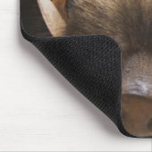 ein gefüllter Wildschwein mit Brille außerhalb ein Mousepad (Ecke)