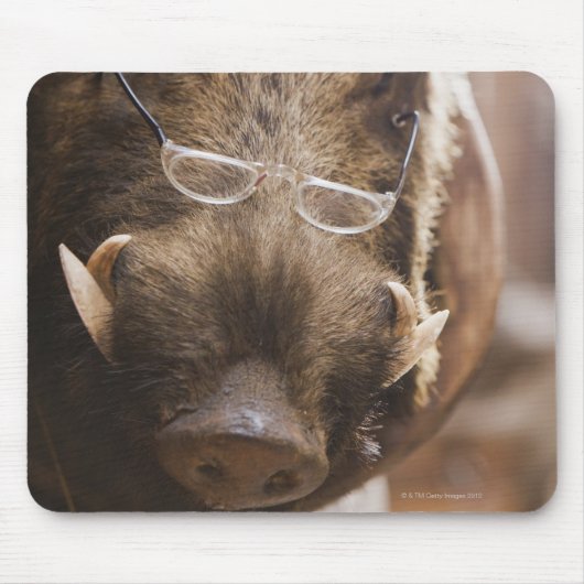 ein gefüllter Wildschwein mit Brille außerhalb ein Mousepad (Vorne)