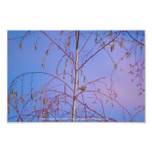 Ein Geheimnis bei Sonnenuntergang Fotodruck (Vorne)