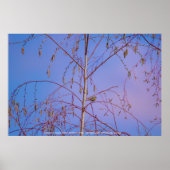 Ein Geheimnis bei Sonnenuntergang Poster (Vorne)