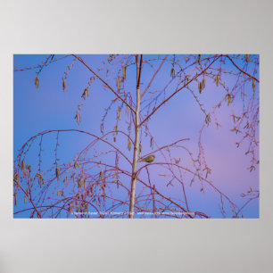 Ein Geheimnis bei Sonnenuntergang Poster