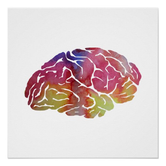 Ein Gehirn Poster (Vorderseite)