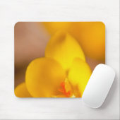 Ein gelber Krokus blüht in Portsmouth, New Mousepad (Mit Mouse)