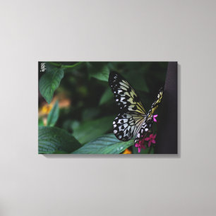 Ein gelber Schmetterling auf rosa Blumen Leinwanddruck