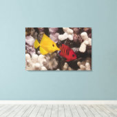 Ein Gelber Tang Leinwanddruck (Insitu (Holzboden))