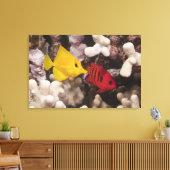 Ein Gelber Tang Leinwanddruck (Insitu (Wohnzimmer))