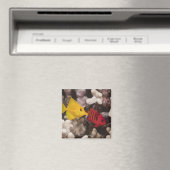 Ein Gelber Tang Magnet (In Situ (Geschirrspüler))