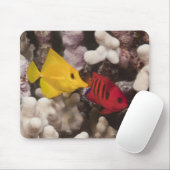 Ein Gelber Tang Mousepad (Mit Mouse)