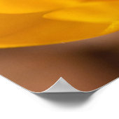 Ein gelbes Krokus blüht in Portsmouth, Neu Poster (Ecke)