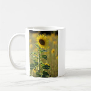 Ein gelbes Sonnenblumenfoto Kaffeetasse
