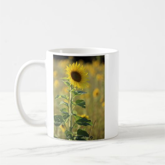 Ein gelbes Sonnenblumenfoto Kaffeetasse (Links)