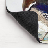 Ein Gemälde einer Ente von Aert Schouman Mousepad (Ecke)