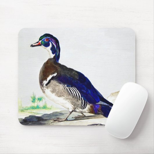 Ein Gemälde einer Ente von Aert Schouman Mousepad (Mit Mouse)