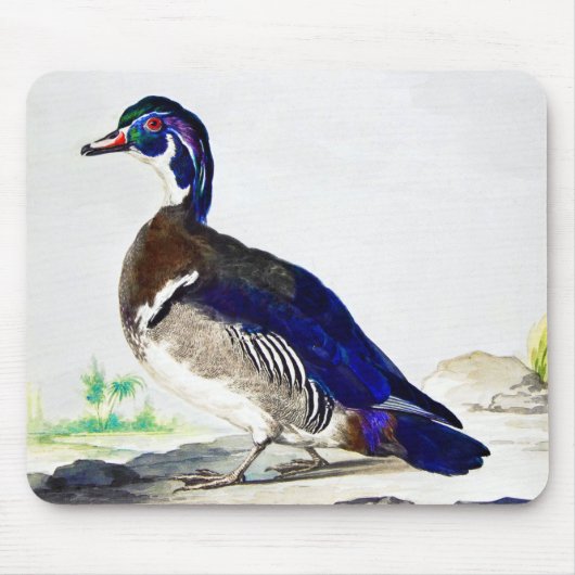Ein Gemälde einer Ente von Aert Schouman Mousepad (Vorne)
