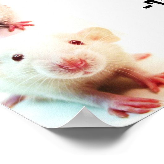 Ein gemeinsames Traumposter Poster (Ecke)