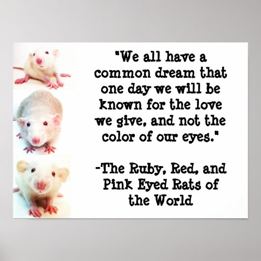 Ein gemeinsames Traumposter Poster (Vorne)