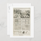 Ein Gemüsegarten, von "The Encyclopedia of Scie" Postkarte (Vorne/Hinten)