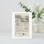 Ein Gemüsegarten, von "The Encyclopedia of Scie" Postkarte (Stehend Vorderseite)