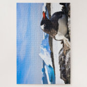 Ein Gentoo Pinguin, der auf den Felsen der Antarkt Puzzle (Vertikal)