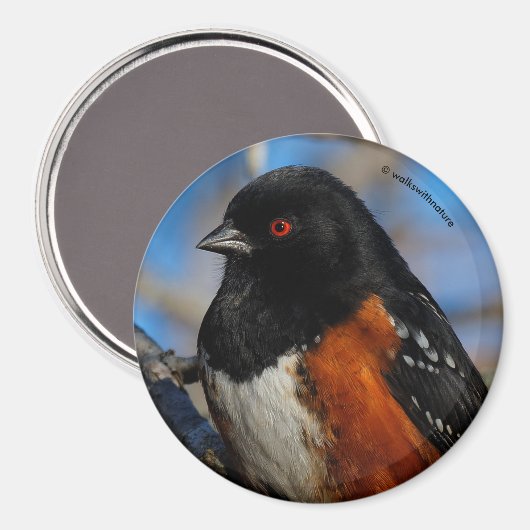 Ein Gepunkteter Schritt in einem Baum Magnet (Vorderseite/Rückseite)