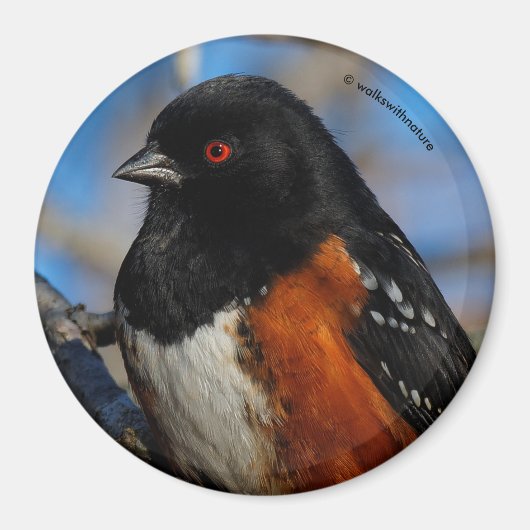 Ein Gepunkteter Schritt in einem Baum Magnet (Vorne)