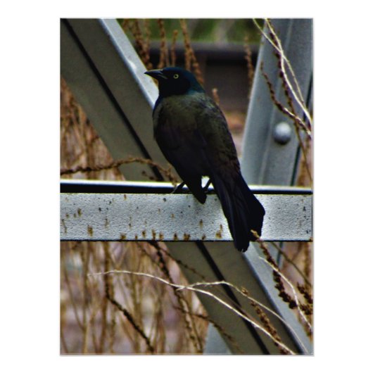 "Ein Gesandter der Hoffnung" Fotodruck (Vorne)