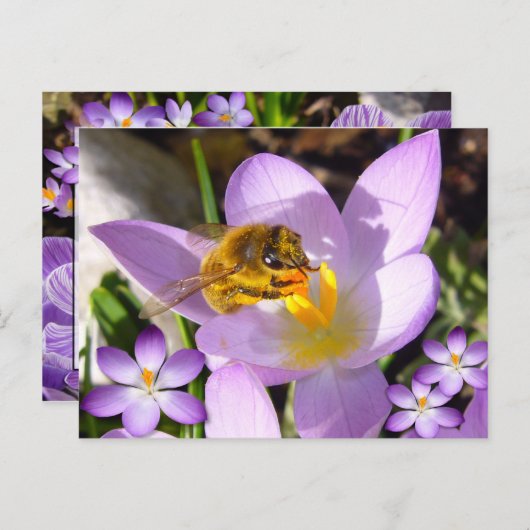 EIN GESCHMACK DES FRÜHENS! Eigener Text Postkarte (Vorne/Hinten)