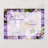 EIN GESCHMACK DES FRÜHENS! Eigener Text Postkarte (Rückseite)