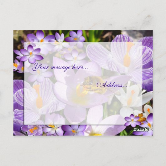 EIN GESCHMACK DES FRÜHENS! Eigener Text Postkarte (Rückseite)