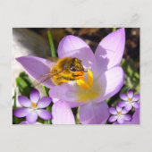 EIN GESCHMACK DES FRÜHENS! Eigener Text Postkarte (Vorderseite)