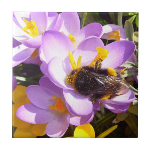 Ein Geschmack des Frühlings ~ Keramik Tile Fliese (Vorderseite)