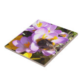 Ein Geschmack des Frühlings ~ Keramik Tile Fliese (Seite)