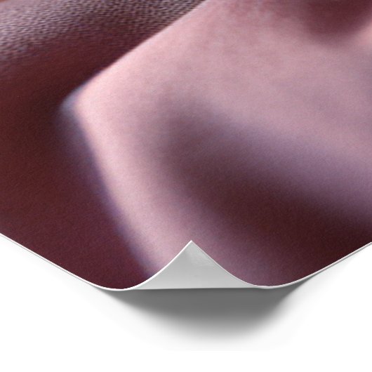 Ein geschmeidiges Guinea Poster (Ecke)