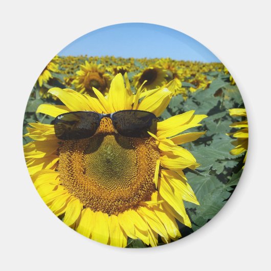 Ein Gesicht in der Menge Magnet (Vorne)