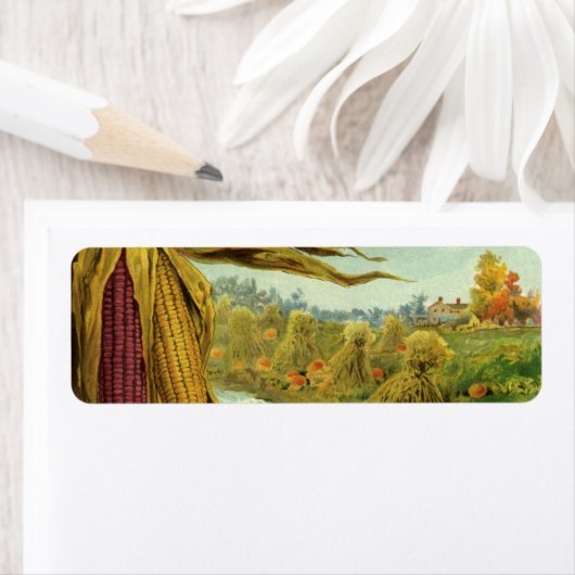 Ein gesunder Erntedank; Indischer Mais und Hystack (Insitu)