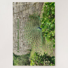 Ein gewaltiger Augenblick entfaltet sich - ruhige 