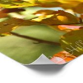 Ein Gewirr aus Gold und orangefarbenen Herbstblätt Poster (Ecke)