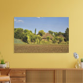 Ein gezüchtetes Feld vor Strohdächern Leinwanddruck (Insitu (Wohnzimmer))