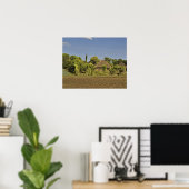 Ein gezüchtetes Feld vor Strohdächern Poster (Heimbüro)