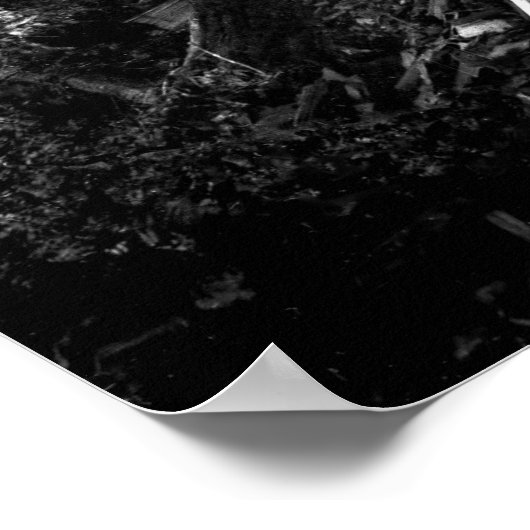 EIN GIANTES c. HERUNTERNEHMEN. 1890 Poster (Ecke)